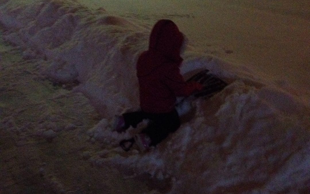 A late romp in the snow