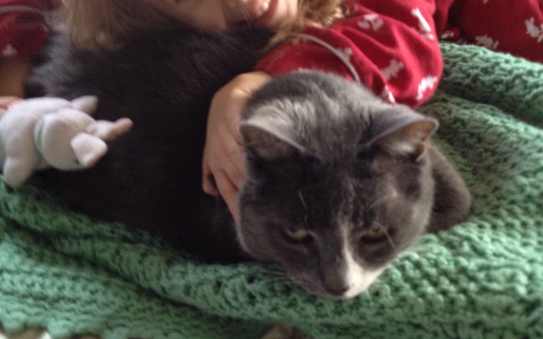 Wishing stinky good morning