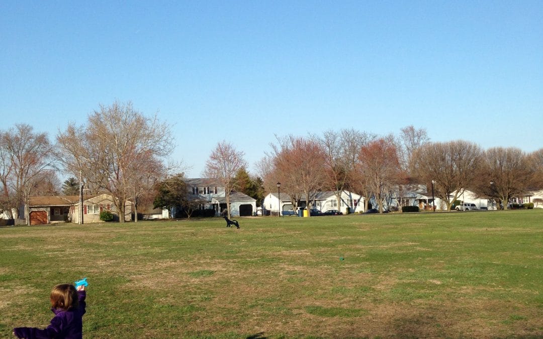 Let’s go fly a kite