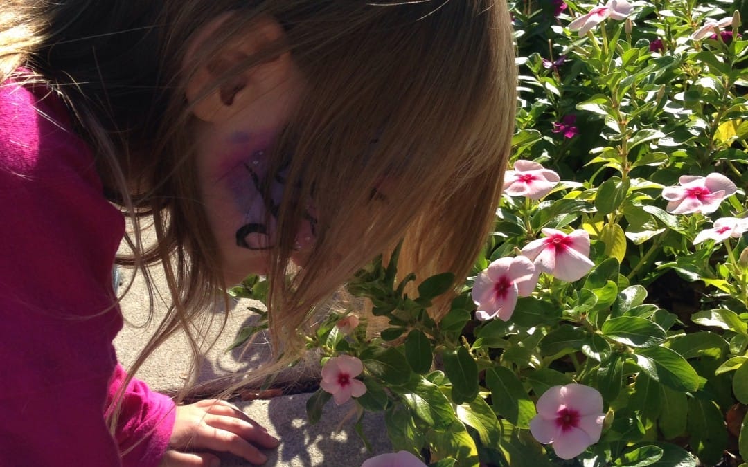 Stopped to smell the flowers