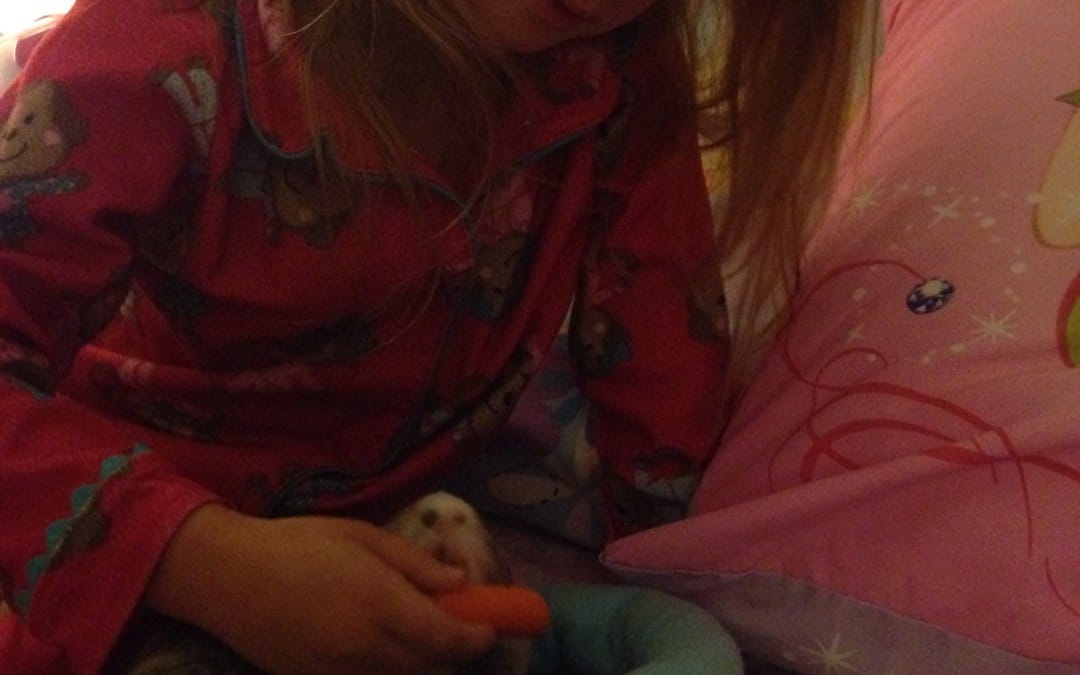 Taking care of Autumn