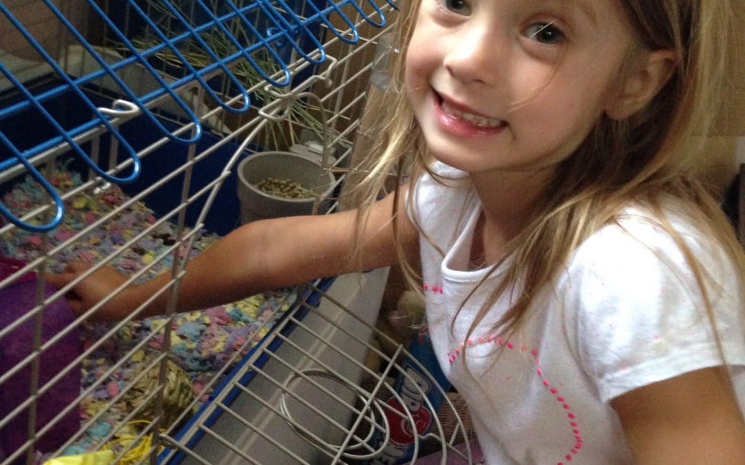 Responsible pet sitter