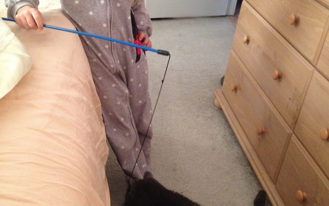 Playing with Charlie