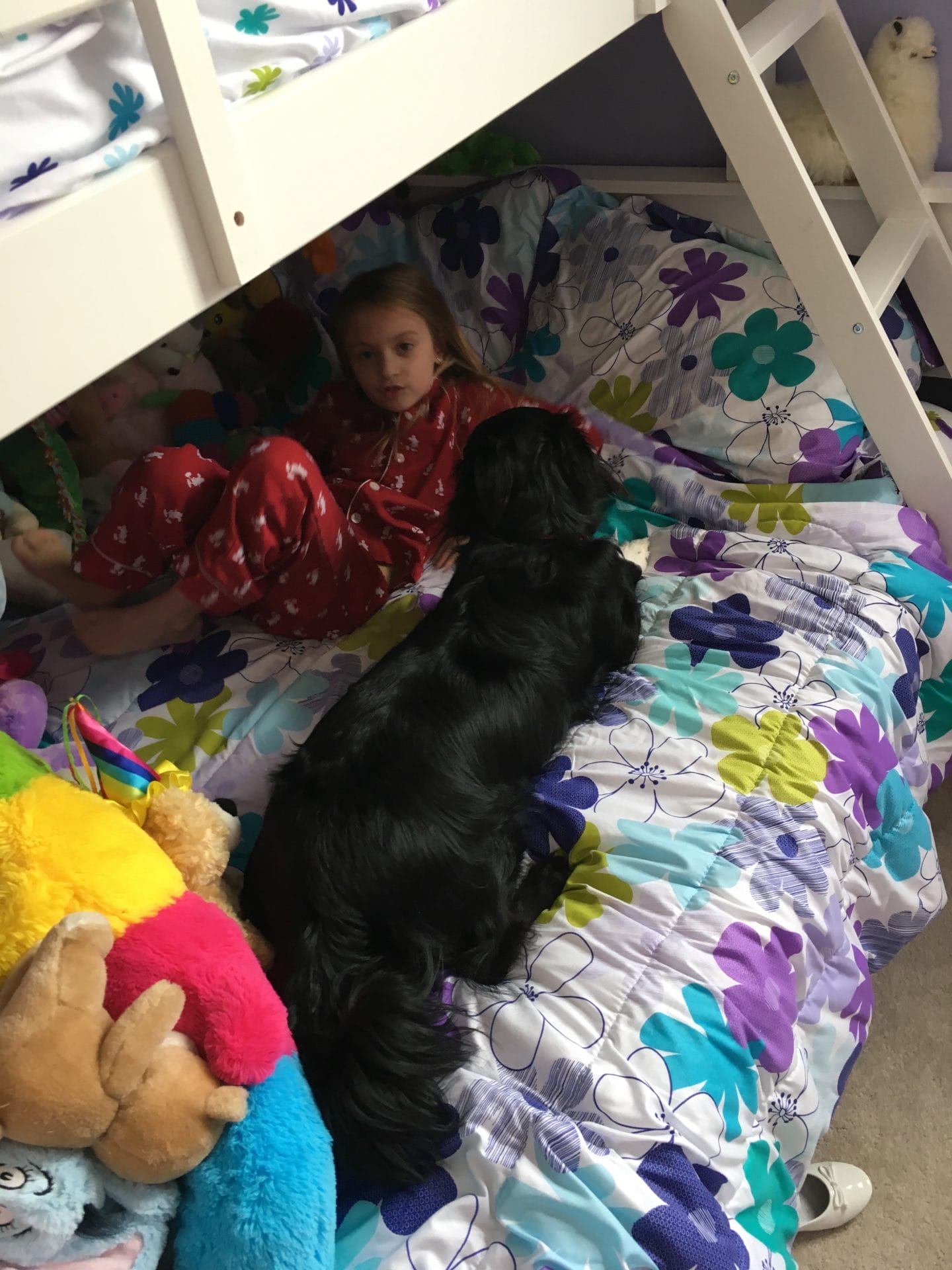 Belle came to check on me…