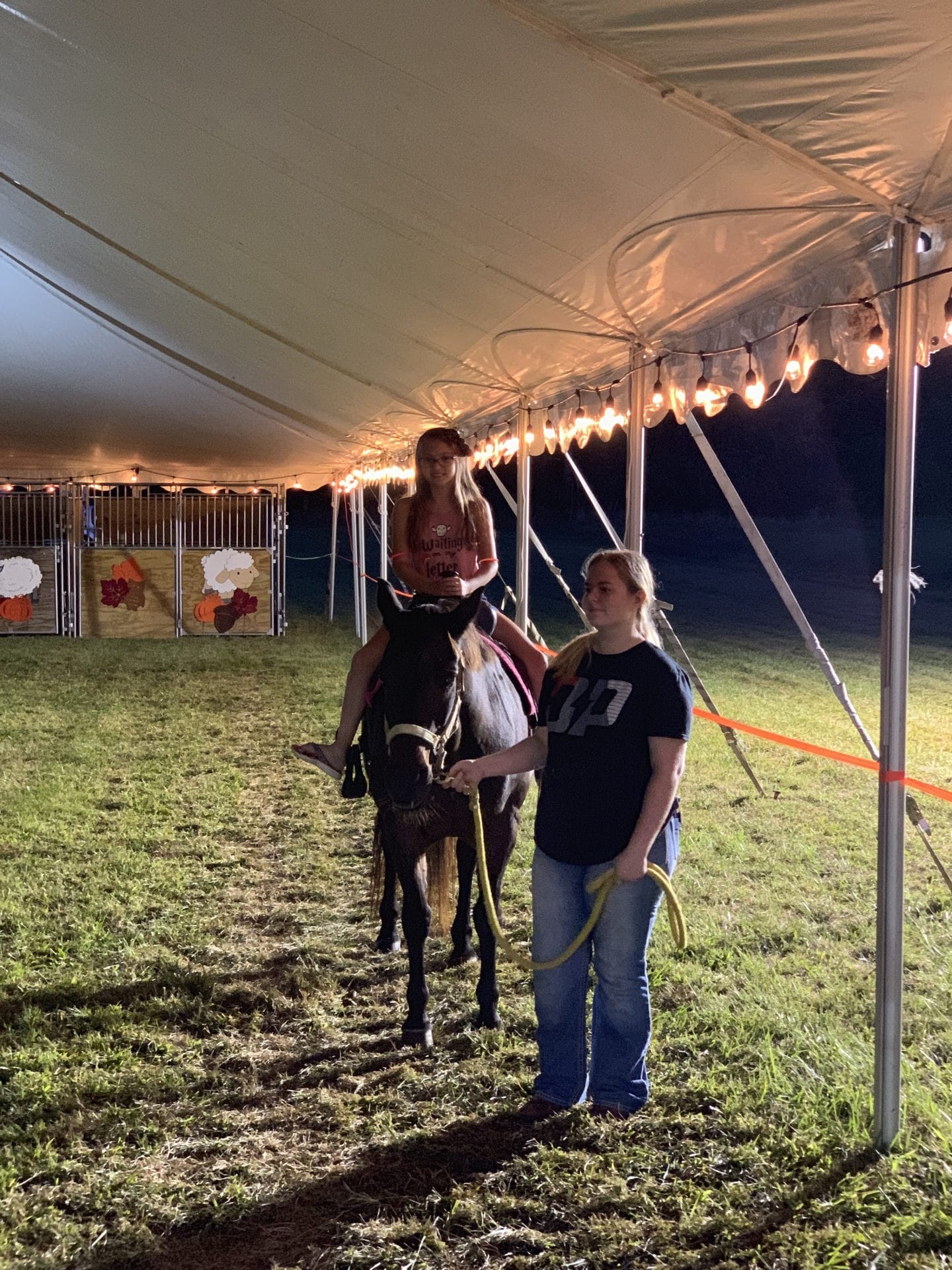 Camden county fair Maddy's Place
